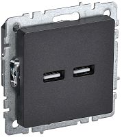 Розетка USB тип A+A без рамки IEK Brite РЮ10-1-БрЧ 2-м. 3100мА черный картинка